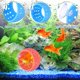 thumbnail image 3 of Uxcell Betta Bulb Hide, Accesorios para Tanques de Bettas con Ventosas Decoración de Acuario para Peces, (1Pcs, Azul), Destinado para Peces Pequeños / Camarones / Guppy, 3 of 6