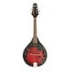 thumbnail image 1 of Mandolina Epic Electroacustica MEP01, 1 of 2