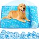 thumbnail image 1 of Alfombrilla refrigerante para mascotas Yoheueoa impermeable y duradera de gel, 1 of 8