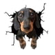 thumbnail image 5 of Pegatinas De PVC Para Perros, Calcomanías Para Grietas De Coches, Adhesivos Para Ventana De Mascotas Para Pared, Nevera, Camión D, 5 of 5
