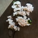 thumbnail image 1 of Cerezo en Flor rosado claro, rama decorativa de 100 cm, 1 of 2