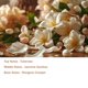 thumbnail image 4 of Perfume Elyscentra Velvet Bloom 10 ml Roll‑On, 4 of 8