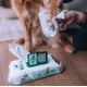 thumbnail image 4 of Beco Toallas Húmedas Wipes Para Mascotas Perro Y Gato 80u verde, 4 of 6