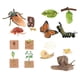 thumbnail image 3 of Juguetes De Aprendizaje Del Ciclo De Vida Preescolar Para Contar Historias Regalos De Cumpleaños Juego De Rol Estilo C, 3 of 3