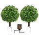 thumbnail image 1 of Planta Artificial LuceAlberi 60 cm Pack de 2 Topiaria, 1 of 9