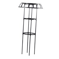 Magideal - Enrejado De Jardín, Enrejado De Soporte Para Plantas, Accesorios Verticales, Enrejado De Plantas De Metal Para Pepinos, Plantas En Macetas, Interiores 105X50Cm