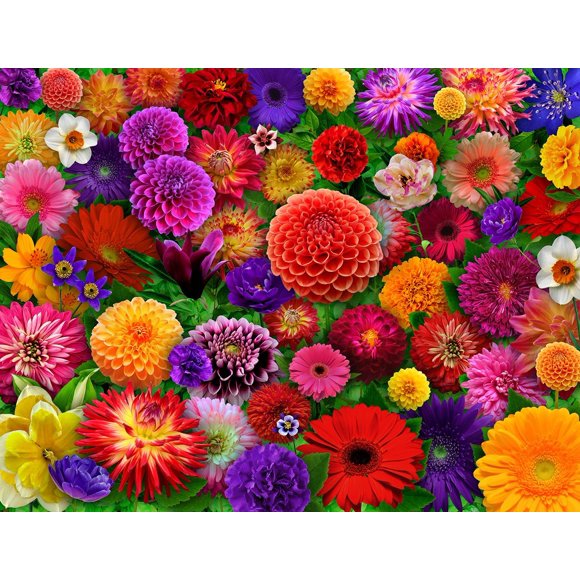 Rompecabezas Springbok Blooming Every Daisy, 500 piezas