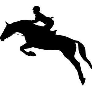 Rienda Libre Graphics - Decomural Equestrianism Horse Woman Rider Jump Ws-80032