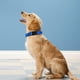 thumbnail image 2 of Collar para Perro PWOD Acolchado de Neopreno Azul Marino Talla M, 2 of 6