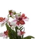 thumbnail image 2 of Planta Artificial Orquidea Rosado Decorativa Macetero Loza, 2 of 3