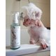 thumbnail image 3 of Shampoo Probiótico Para Gatos Sphynx 50 Ml, 3 of 3