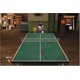 thumbnail image 5 of Videojuego Nintendo Wii Balls of Fury Reacondicionado, 5 of 6