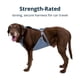 thumbnail image 4 of Arnés para perro Ruffwear Load Up L/XL azul pizarra, 4 of 9