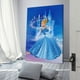 thumbnail image 3 of Cuadro Decorativo Cenicienta Desmarcar 40x60 cm, 3 of 6