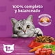 thumbnail image 3 of Whiskas Para Gatos Adultos Carne 20 Kg., 3 of 5