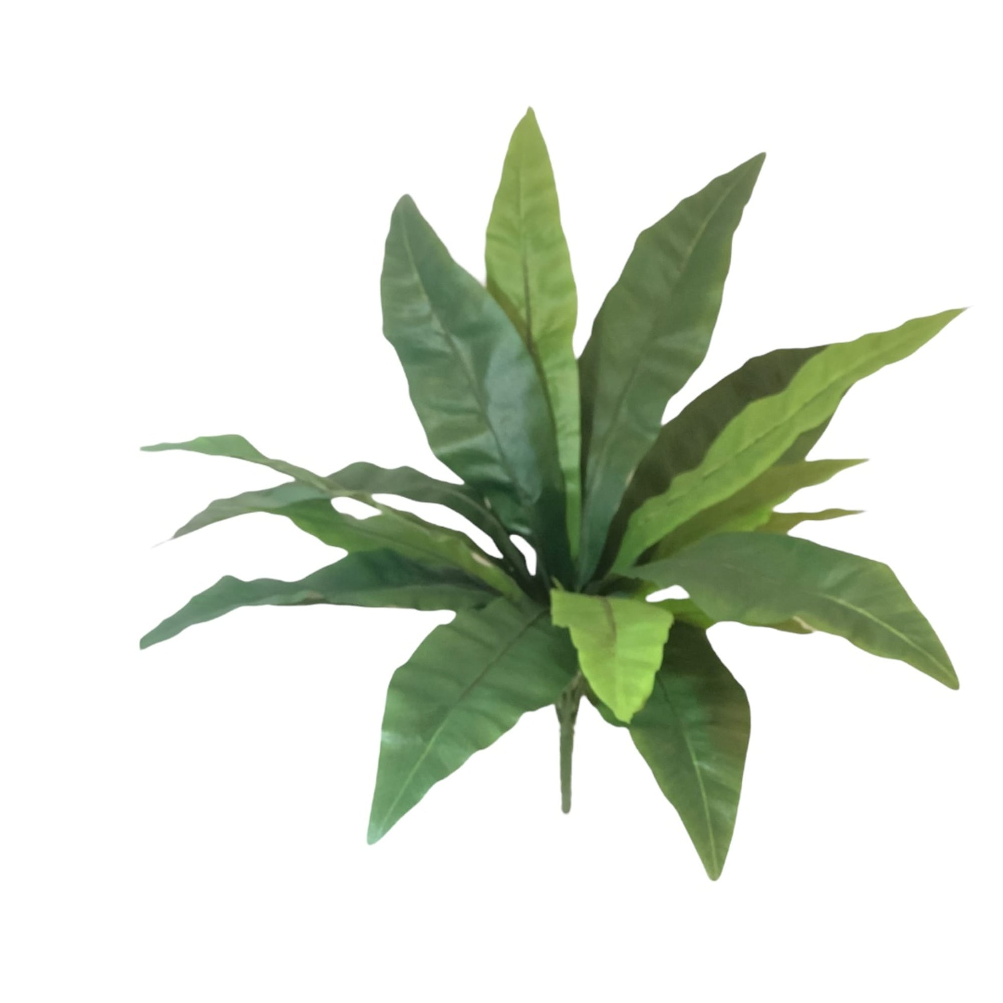 Corel - Helecho Nido De Pajaro 53Cm Artificial