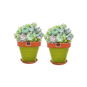 Mestiza - Set De 2 Maceta Kony 19Cm Terra Verde Y Sus Platos