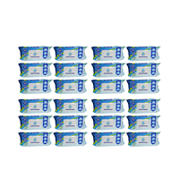 Pack 24 Toallitas Húmedas Adulto Purity Eco 50 Un , Extra Grande.