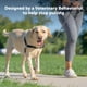 thumbnail image 2 of Arnés para perros PetSafe Easy Walk, sin tirones, tamaño medio/grande, morado, 2 of 6