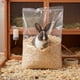 thumbnail image 2 of Viruta de madera Ecotalcarehue, 2 of 3