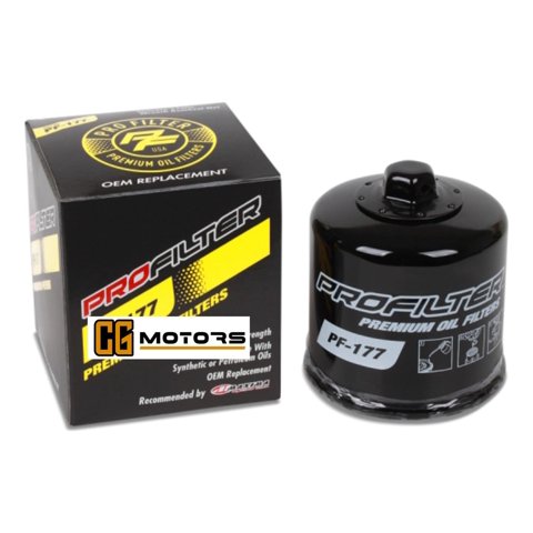 Genérico - Filtro Aceite Moto Cf Moto Nk 400/650/Gt650/Mt650 Profilter