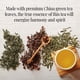 thumbnail image 3 of Té The Republic of Tea The Peoples Green Tea 50 bolsitas, 3 of 6