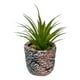 thumbnail image 1 of Set 2 Planta Decorativa Suculenta Adorno Hogar Jhn, 1 of 3