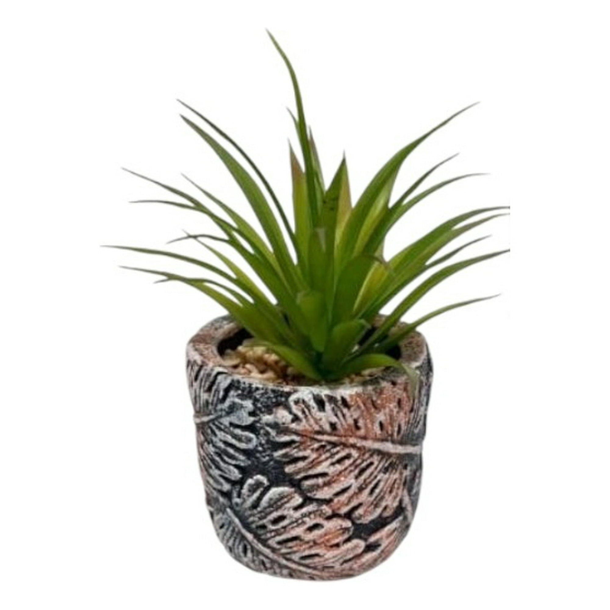 Genérico - Set 2 Planta Decorativa Suculenta Adorno Hogar Jhn