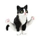 thumbnail image 4 of Figura de Gato en Miniatura de Alta Simulación Personajes de Gatos Animales Colección de Juguetes Juego, Figuras de Gatos Figuras de Gatos Pequeños Ju Negro, 4 of 5