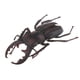 thumbnail image 3 of Juguetes De Animales Recurso Educativo Alta Simulación Insectos Realistas Figura I, 3 of 5