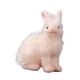 thumbnail image 1 of Figuras De Conejo, Juguetes, Figuras De Animales, Juguetes Para Regalos De Fiesta, Juguetes Cognitivos Para Ni?os Peque?os, 1 of 5