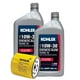thumbnail image 1 of Kit de aceite para motor QUICKIEPARTS 10W30 mezcla sintética 1,9 L, 1 of 2