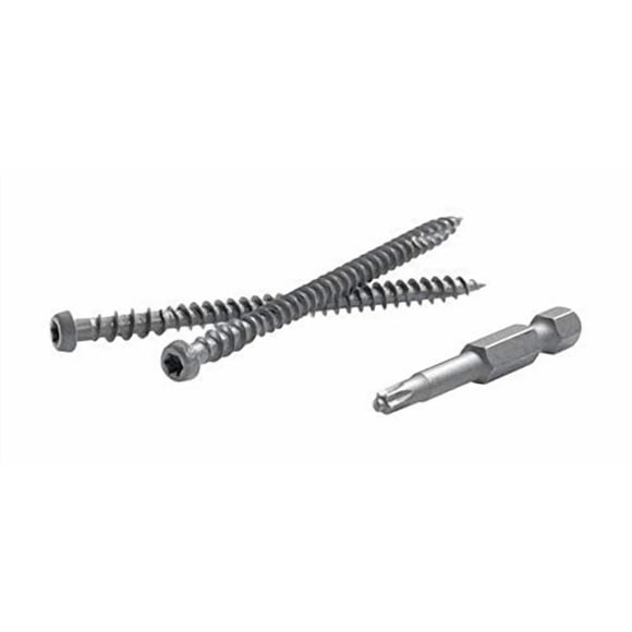 Tornillos FASTENMASTER 6,4 cm Havana Gold 1050 piezas