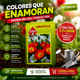 thumbnail image 5 of Semillas Amapola Mix Jardín y Macetas Las Encinas, 5 of 5