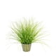 thumbnail image 1 of Grass zebra redondo 60 cm, 1 of 1