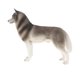 thumbnail image 2 of Simulación Animal Salvaje Modelo Figura Juguetes Estatuilla Decoración Para El Hogar Husky Grey, 2 of 5