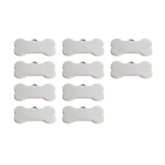 XTOOL Silver Bone Dog Tag