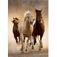 thumbnail image 2 of Puzle Clementoni Running Horses de 1000 piezas, 2 of 2