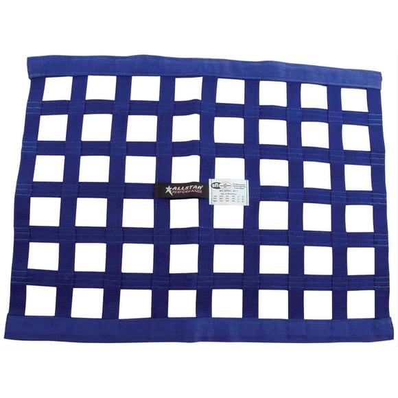 Window Net Allstar Performance Border Style 18x24 SFI Azul