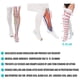 thumbnail image 5 of Medias de compresión Invera antiembolia hasta el muslo, talla XXL, 5 of 7