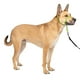 thumbnail image 1 of Collar para perro PetSafe Gentle Leader No-Pull, verde medio, 1 of 3