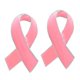 thumbnail image 2 of 2 Piezas Pink Esmalte Cáncer De Pecho Concientización Cinta Cinta Broches Pines, 2 of 5