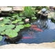 thumbnail image 2 of Forro para Estanques UWIOFF 20 Mil 213x305 cm HDPE Negro, 2 of 4
