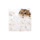 thumbnail image 4 of Pack X2 Pet Dream Sustrato Papel Premium Para Mascotas Roedores, 4 of 5