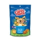 thumbnail image 2 of Galletas Para Perro Canine Carry Outs Spring Delight 127g Frutales, 2 of 3