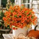 thumbnail image 4 of Flores artificiales de otoño SHareconn, 24 ramos, resistentes a los rayos UV, 4 of 9