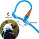 thumbnail image 2 of Correa boswany de 1,8 m de cuerda deslizante para entrenamiento de perros (Azul), 2 of 8