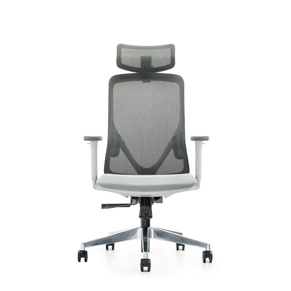 Silla Gerencial de oficina Placidita plus gris
