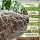 thumbnail image 5 of GSZEPSEX Tapete de yute para cultivo de microgreens 25 x 560 cm, rollo, 5 of 7