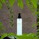 thumbnail image 4 of Kate Spade Walk On Air Spray Corporal 8.4 oz, 4 of 4